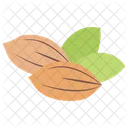 Almond Dried Fruit Healthy Food Icon