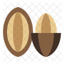 Almond  Icon