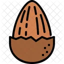 Almond  Icon