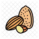 Almond  Icon