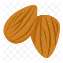 Almond  Icon