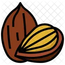 Almond  Icon