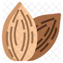 Almond  Icon