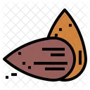 Almond  Icon