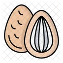 Almond  Icon