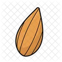 Almond  Icon