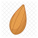 Almond  Icon