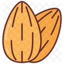 Almond Nut Sweet Almond Icon