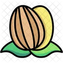 Almond  Icon