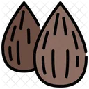 Almond Almonds Health Icon