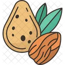 Almond Nut Food Icon