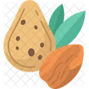 Almond Nut Food Icon