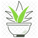 Aloe  Icon