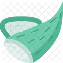 Aloe  Icon