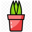 Aloe Vera  Icon