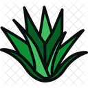 Aloe Vera  Icon