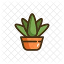 Aloe Vera  Symbol