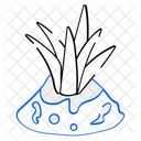 Aloe Vera  Icon