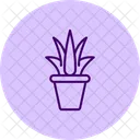 Aloe Vera Gel Pentaglow Icon