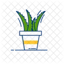 Natural Plant Aloevera Icon