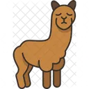 Alpacas  Icon