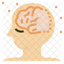 Alzheimer Disease Neurodegenerative Icon