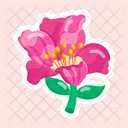 Flower Stickers Blooming Flowers Spring Flowers 아이콘