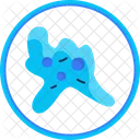 Amoeba  Icon