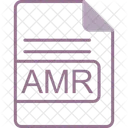 Amr Archivo Formato Icono