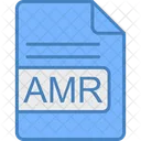 Amr Archivo Formato Icono