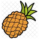 Ananas Ananas Comosus Ananas Icône