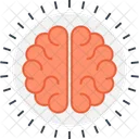 Anatomie Cerveau Remue Meninges Icône