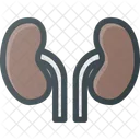 Anatomy  Icon