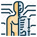 Anatomy Human Body Icon