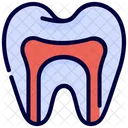 Anatomy Canal Root Icône
