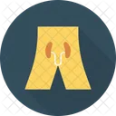 Anatomy  Icon