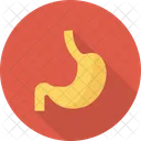 Anatomy  Icon