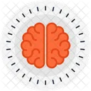 Anatomy  Icon