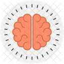 Anatomy Brain Brainstorm Icon