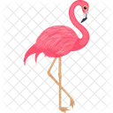 Andean Flamingo  Icon