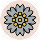 Anemone  Symbol