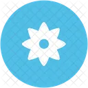 Anemone  Icon