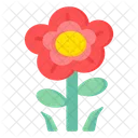 Anemone Coronaria  Icon