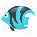 Angelfish Marble Fish Zebra Angelfish Icon