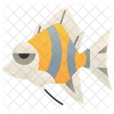 Angelfish Icon