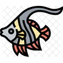 Angelfish  Icon