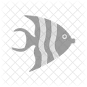 Angelfish  Icon