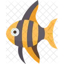 Angelfish  Icon