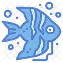 Angelfish  Icon