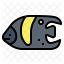 Angelfish  Icon